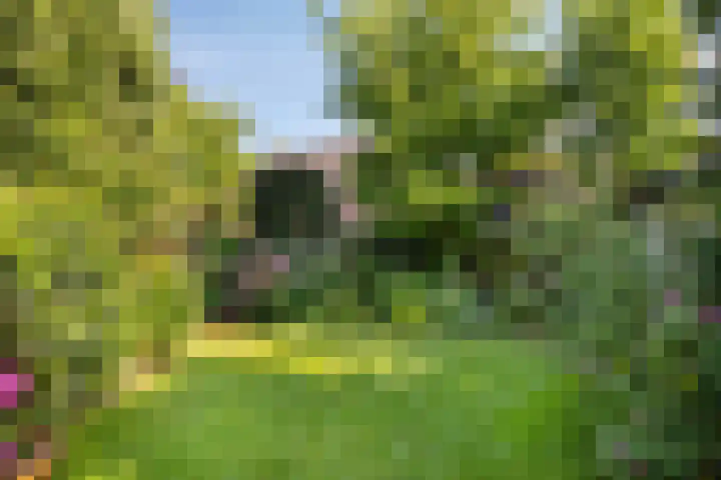 Moleneindsestraat 8 Hoeven thumbnail 49