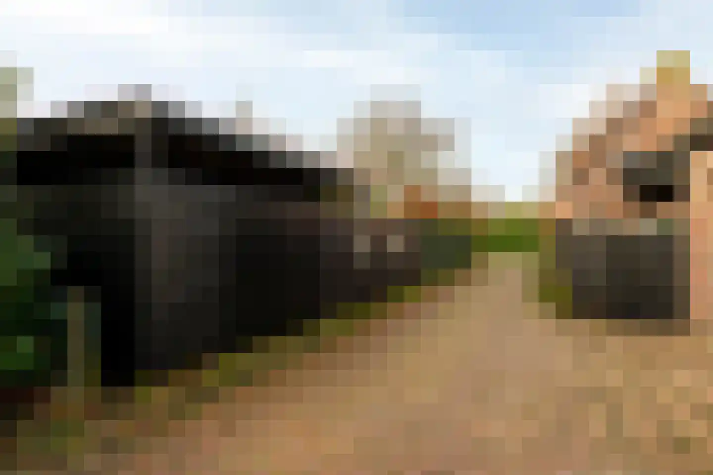 Moleneindsestraat 8 Hoeven thumbnail 50