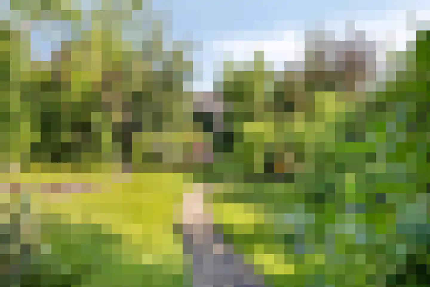 Moleneindsestraat 8 Hoeven thumbnail 50