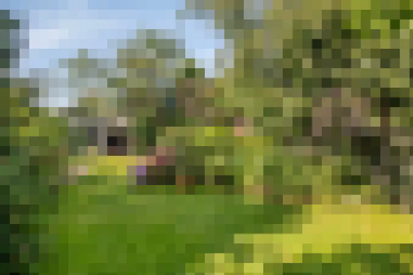 Moleneindsestraat 8 Hoeven thumbnail 51
