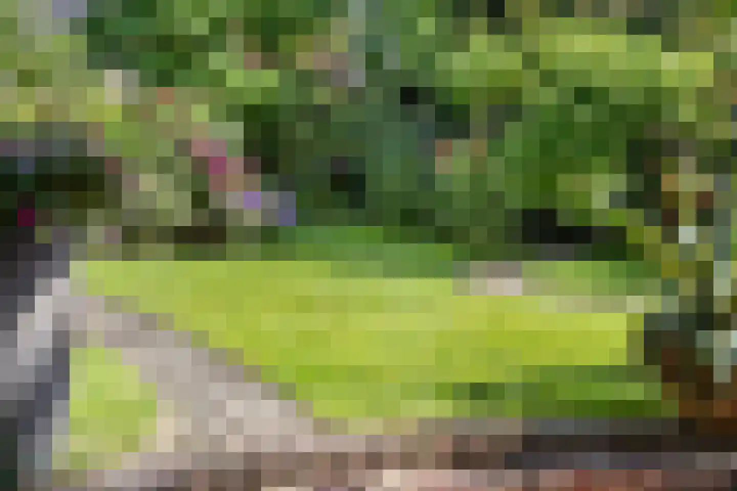 Moleneindsestraat 8 Hoeven thumbnail 52