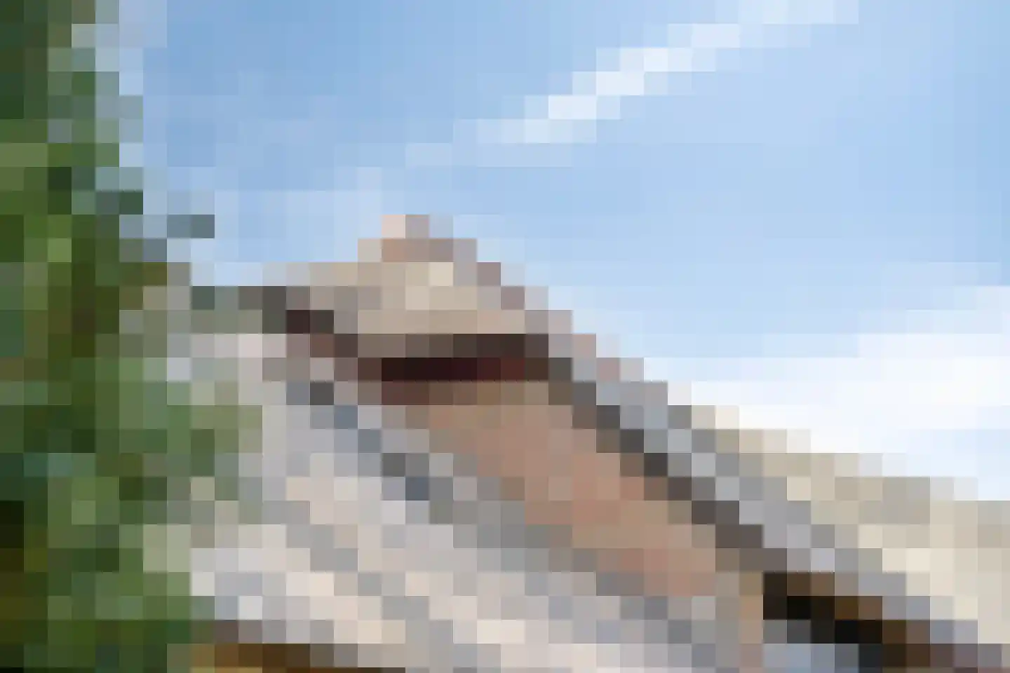 Moleneindsestraat 8 Hoeven thumbnail 53