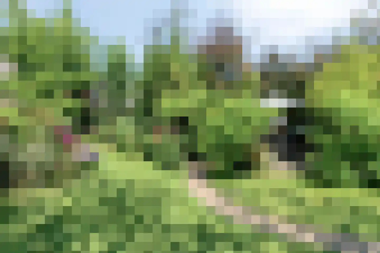 Moleneindsestraat 8 Hoeven thumbnail 54