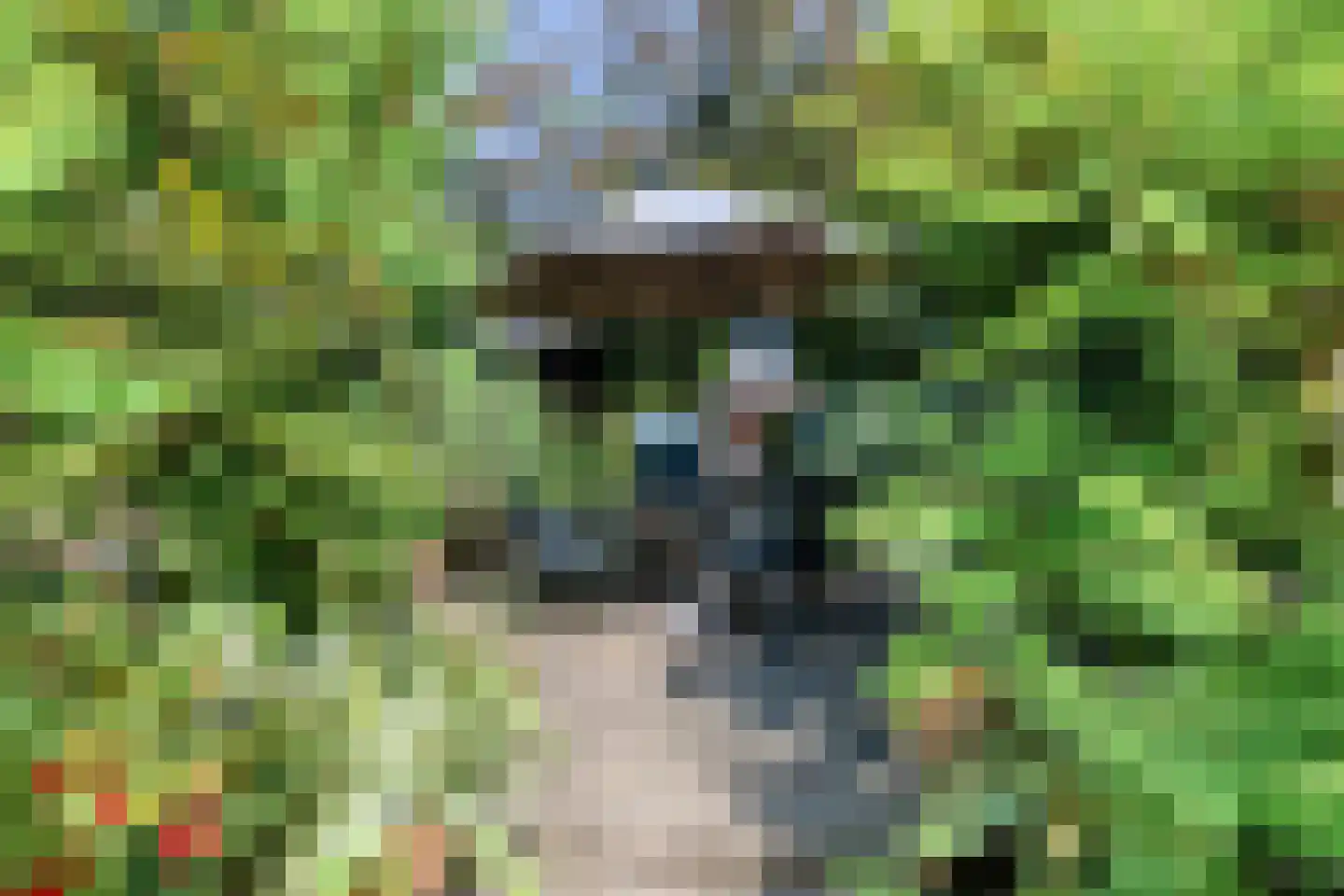 Moleneindsestraat 8 Hoeven thumbnail 55