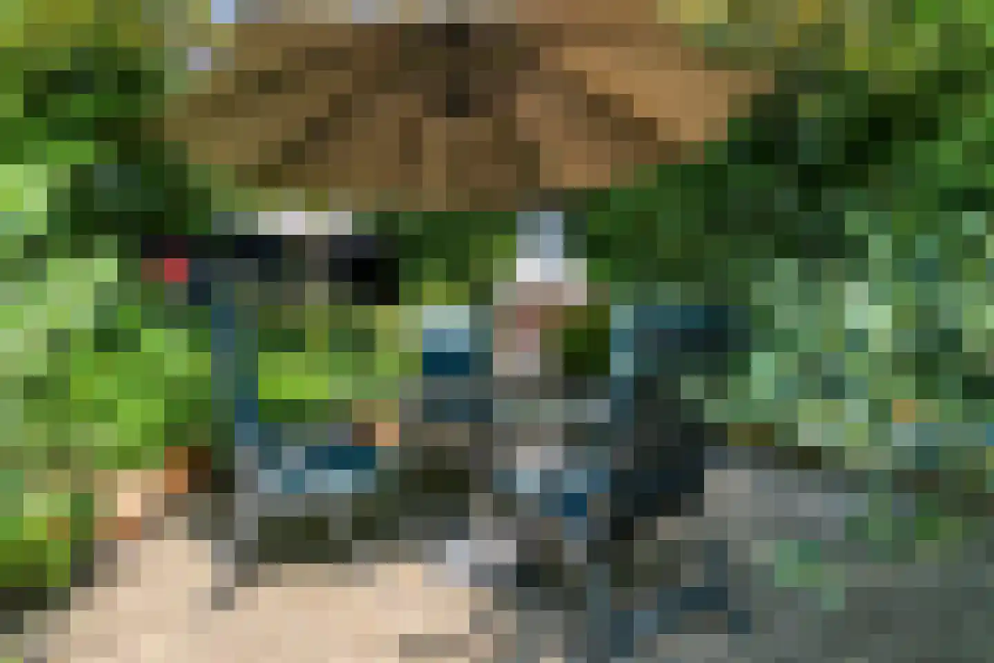 Moleneindsestraat 8 Hoeven thumbnail 56