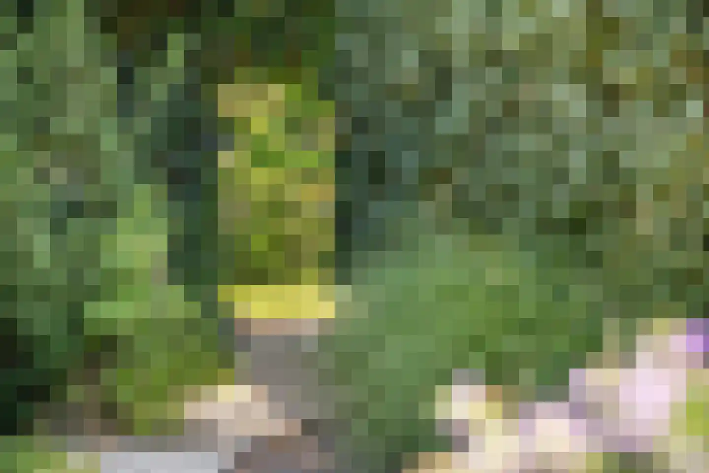 Moleneindsestraat 8 Hoeven thumbnail 58