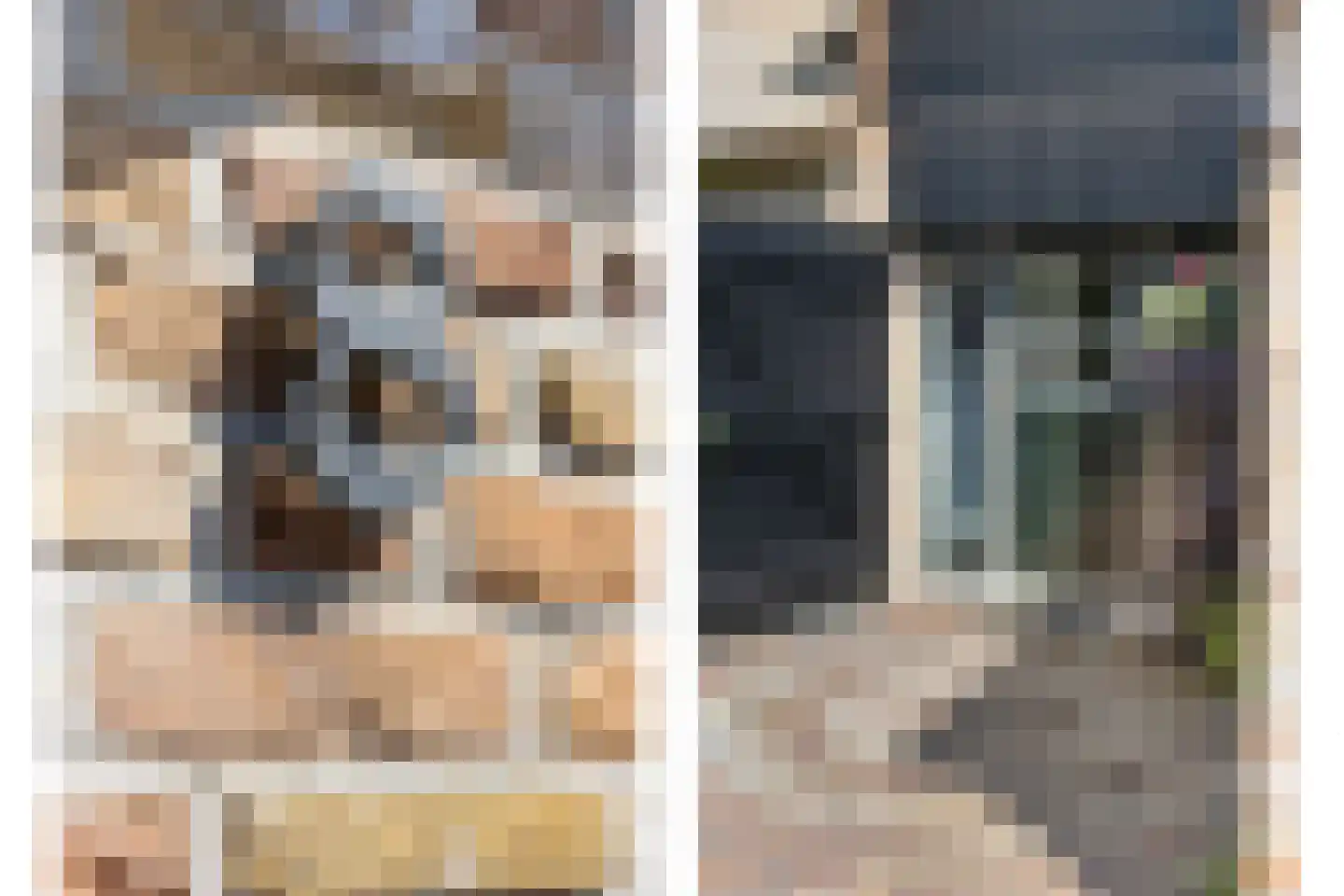 Moleneindsestraat 8 Hoeven thumbnail 6