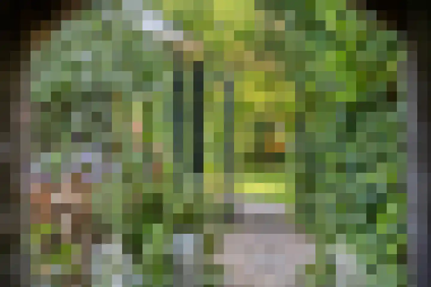 Moleneindsestraat 8 Hoeven thumbnail 60