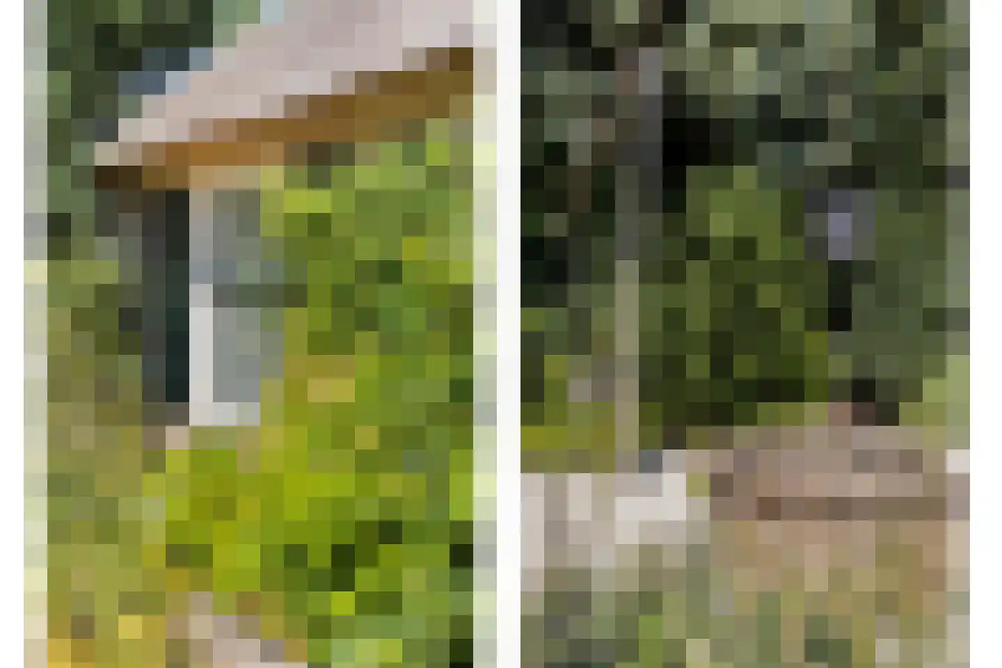 Moleneindsestraat 8 Hoeven thumbnail 64