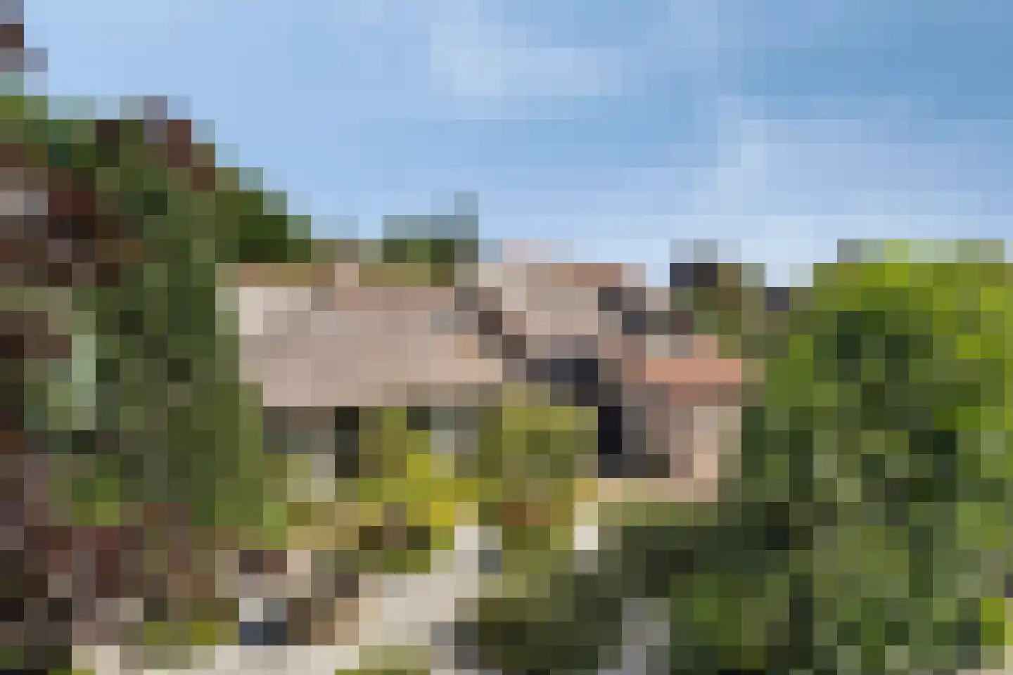 Moleneindsestraat 8 Hoeven thumbnail 65