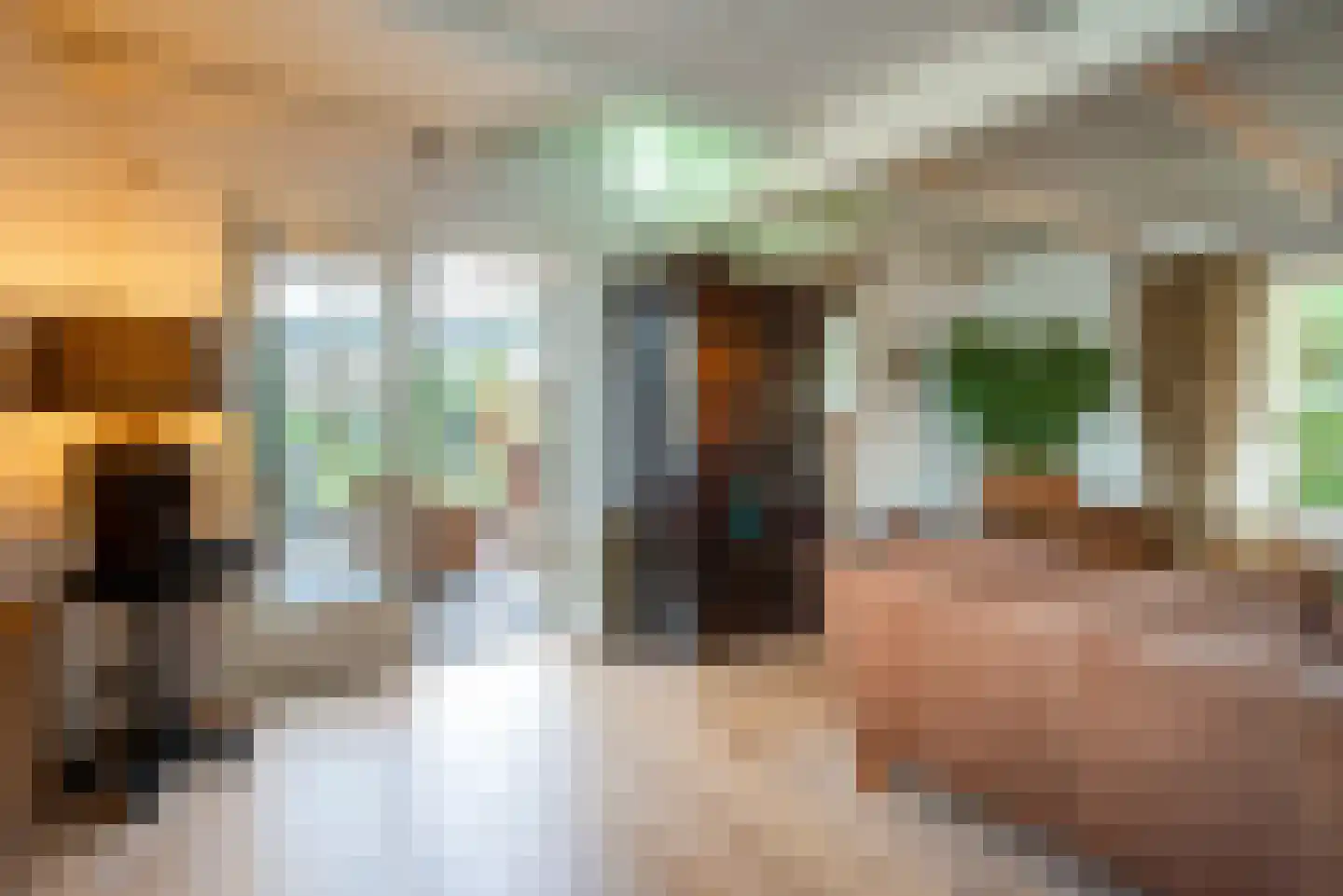 Moleneindsestraat 8 Hoeven thumbnail 7
