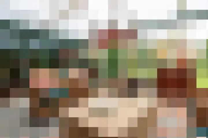 Moleneindsestraat 8 Hoeven thumbnail 8