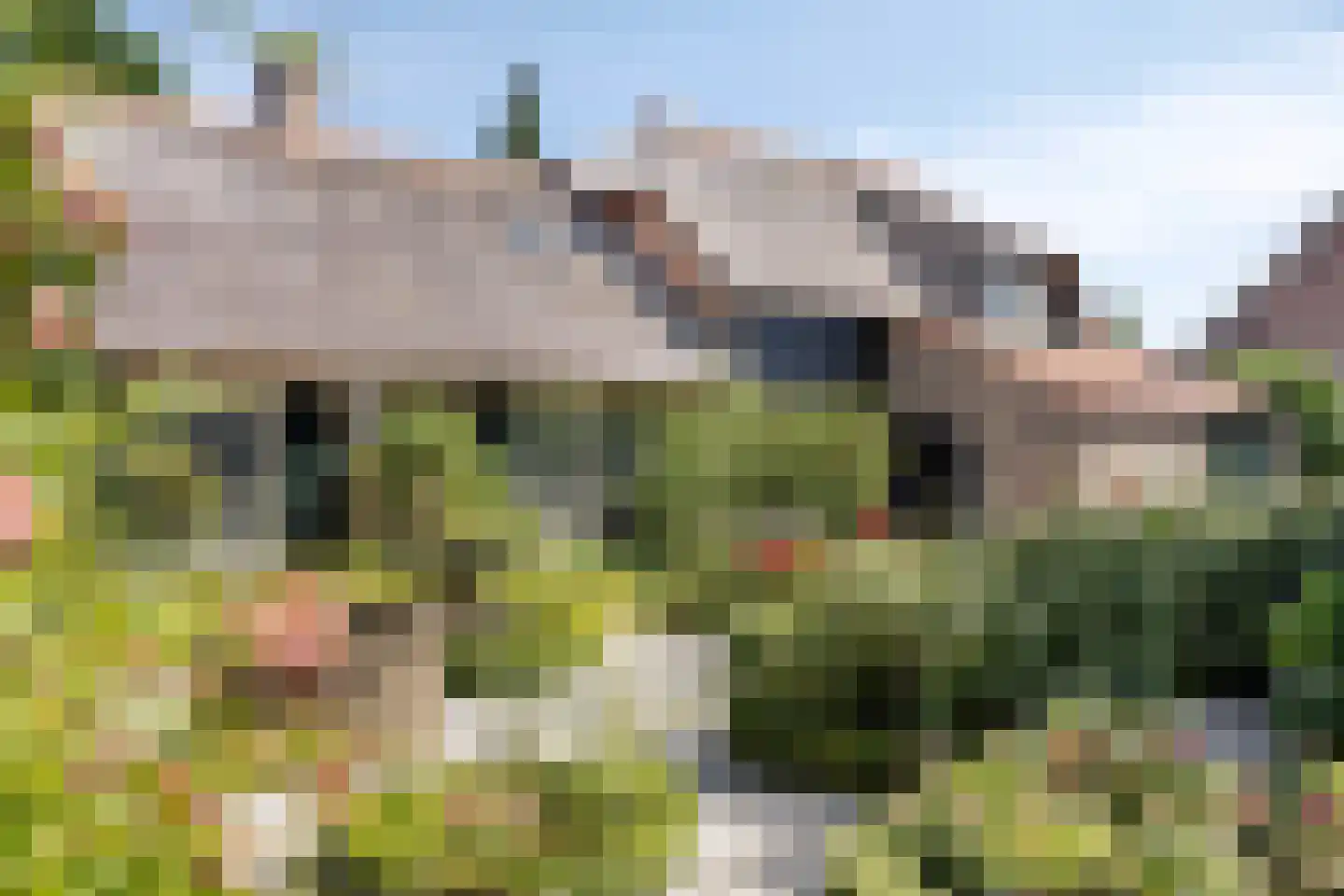 Moleneindsestraat 8 Hoeven thumbnail 8