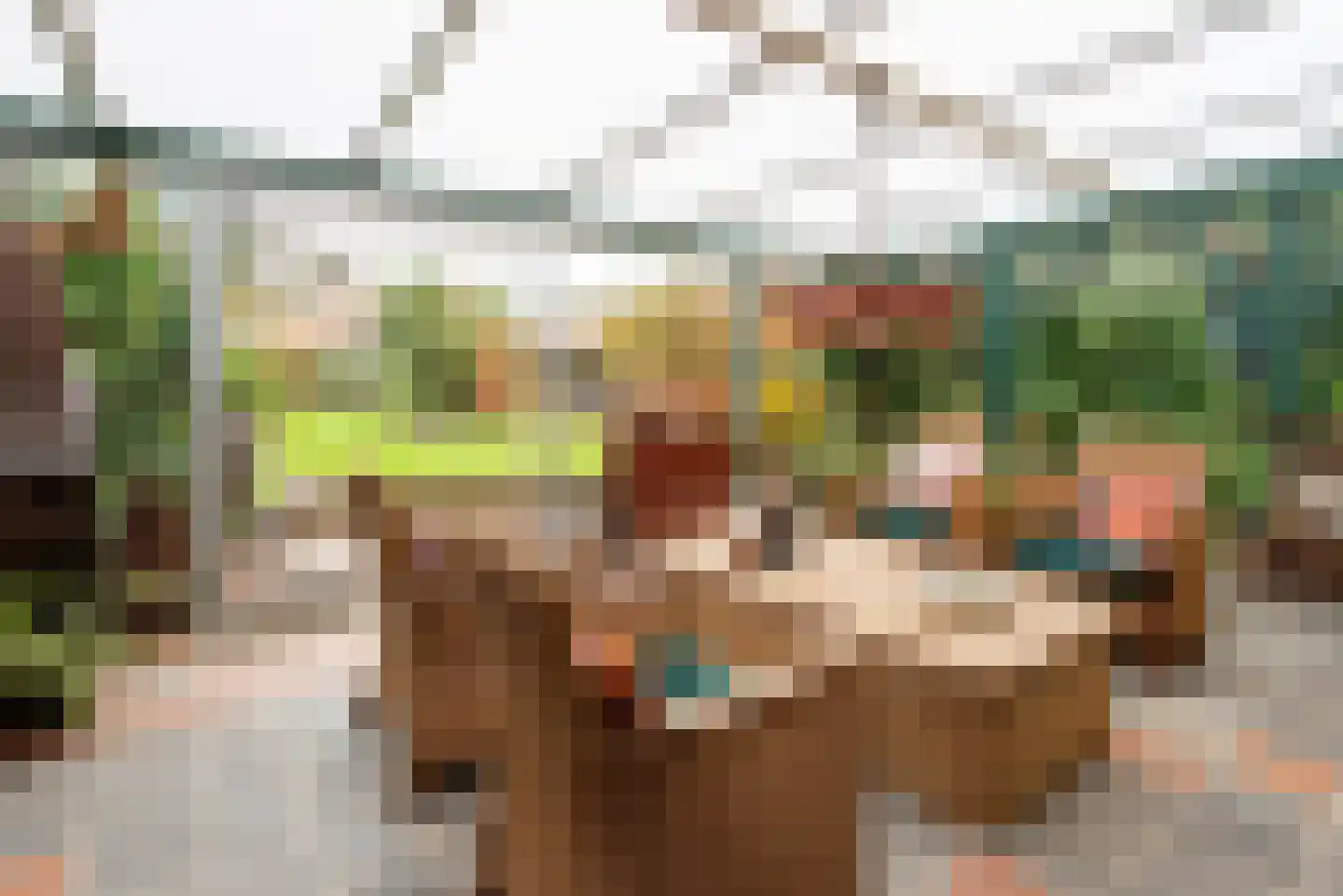 Moleneindsestraat 8 Hoeven thumbnail 8