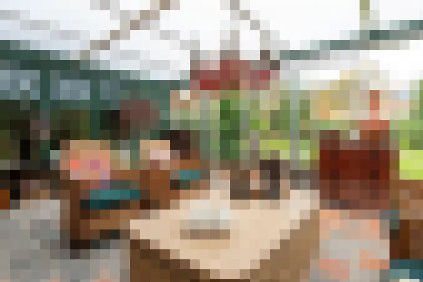 Moleneindsestraat 8 Hoeven thumbnail 9