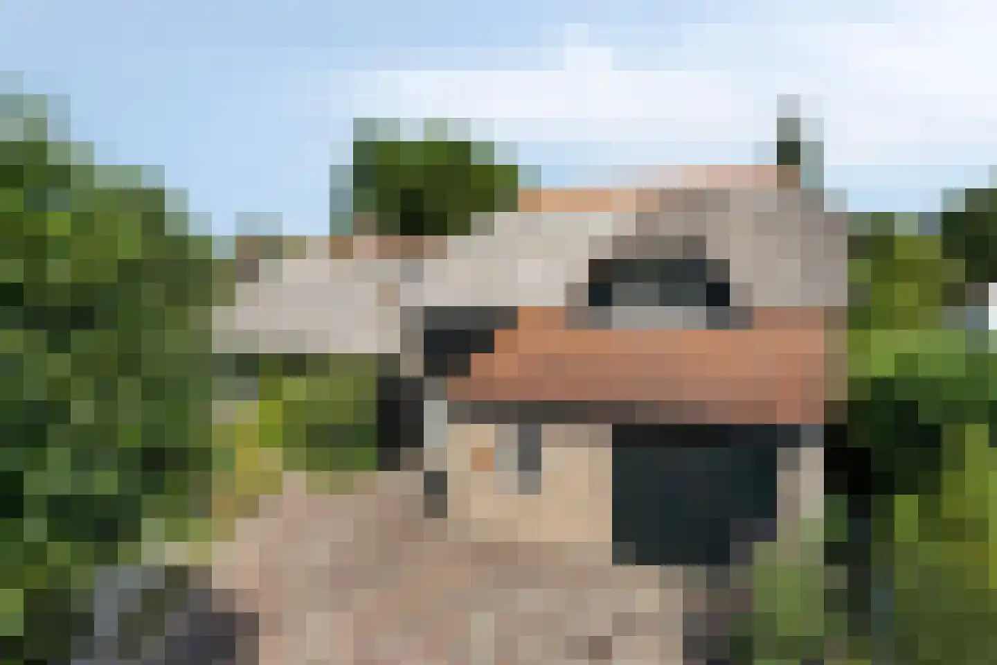 Moleneindsestraat 8 Hoeven thumbnail 9