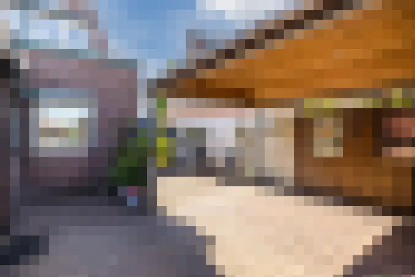 Moleneindstraat 13 Breda thumbnail 37