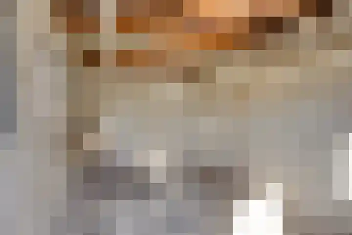 Moleneindstraat 25 Breda thumbnail 32