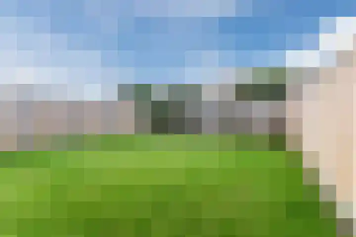 Moleneindstraat 45 Breda thumbnail 30