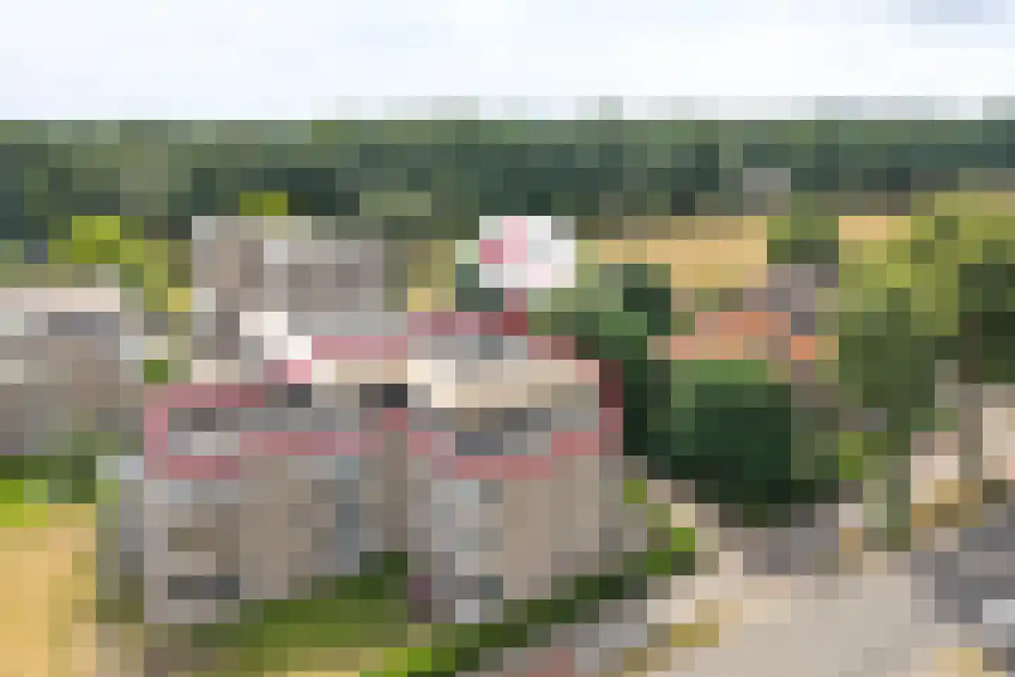 Molenerf 10 in Ommen