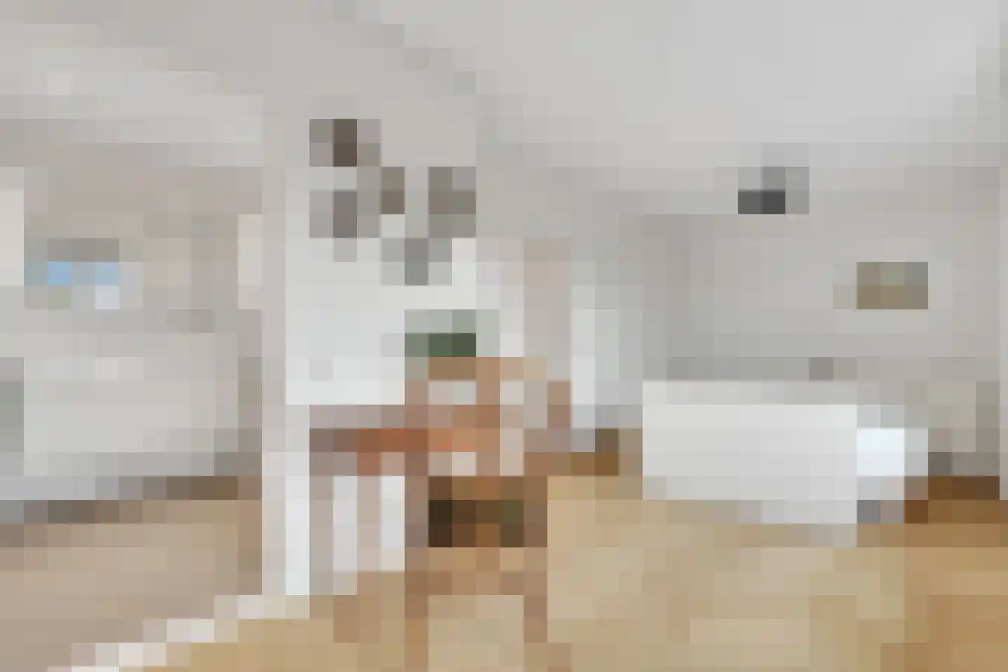 Molenerf 10 Ommen thumbnail 34