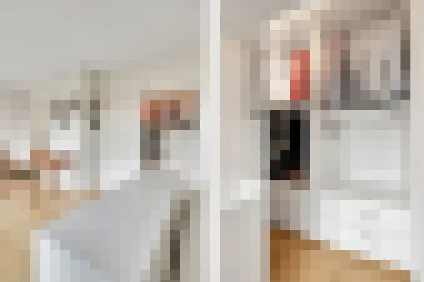Molenerf 10 Ommen thumbnail 36