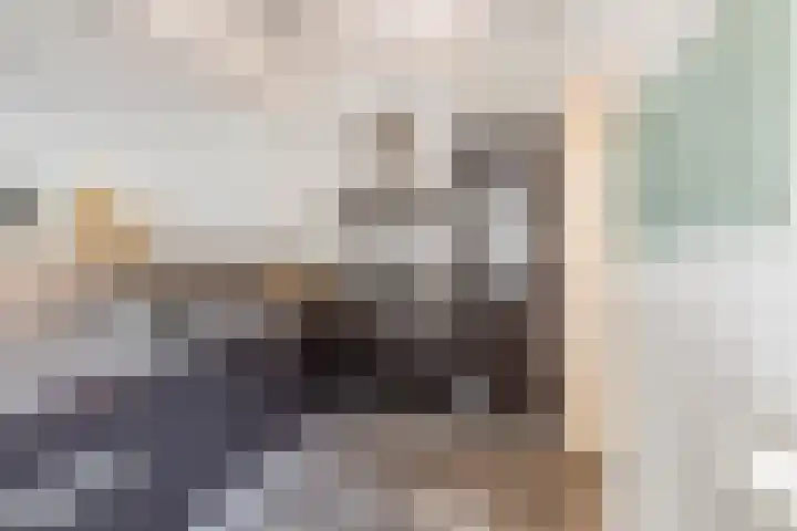 Molenerf 13 Harkstede thumbnail 13