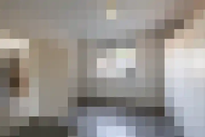 Molenerf 13 Harkstede thumbnail 15
