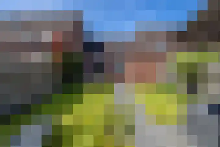 Molenerf 13 Harkstede thumbnail 26