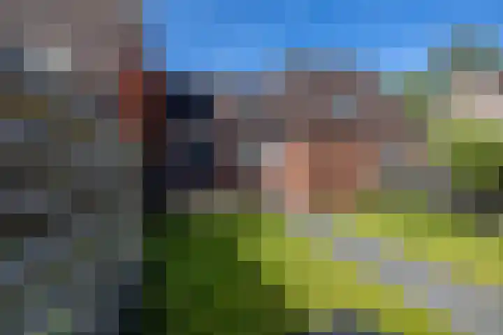 Molenerf 13 Harkstede thumbnail 27