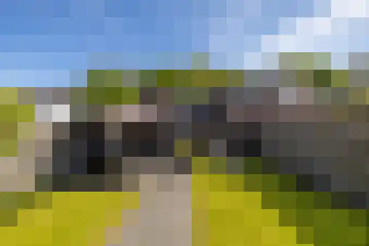 Molenerf 13 Harkstede thumbnail 4