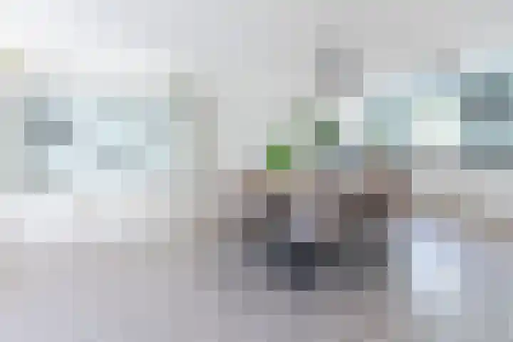 Molenerf 2 Nistelrode thumbnail 12