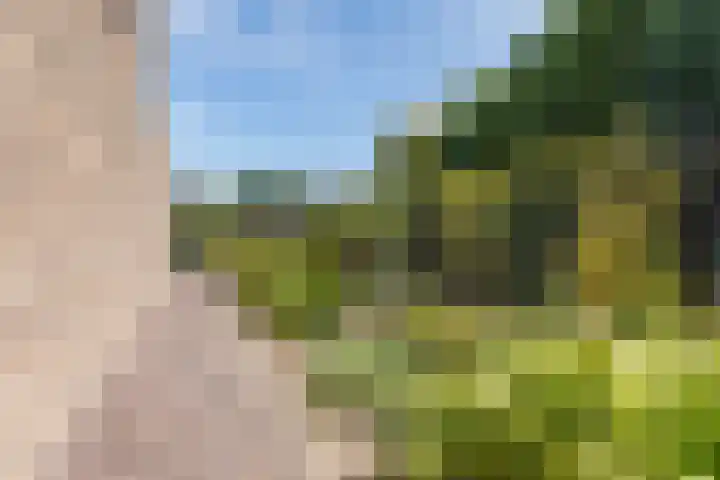 Molenerf 2 Nistelrode thumbnail 37
