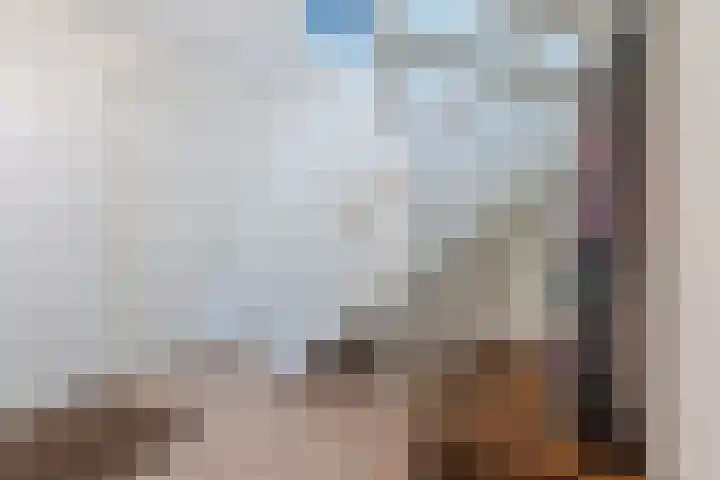 Molenerf 2 Nistelrode thumbnail 9