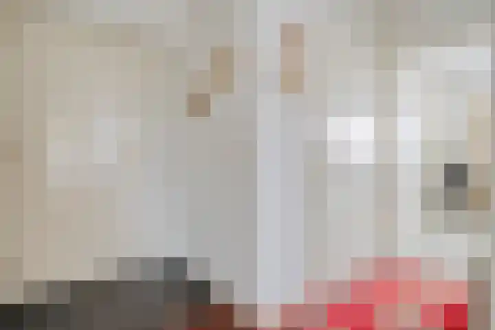Molenerf 2 Ommen thumbnail 15