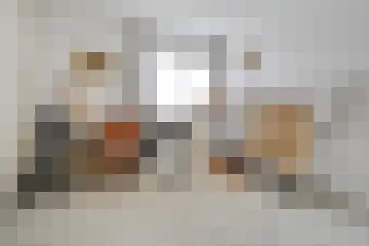 Molenerf 2 Ommen thumbnail 16