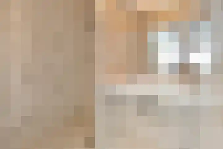 Molenerf 2 Ommen thumbnail 18