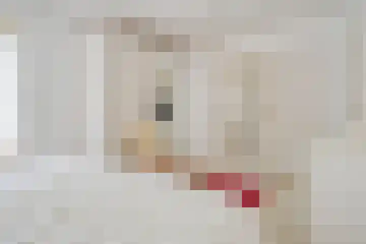 Molenerf 2 Ommen thumbnail 22