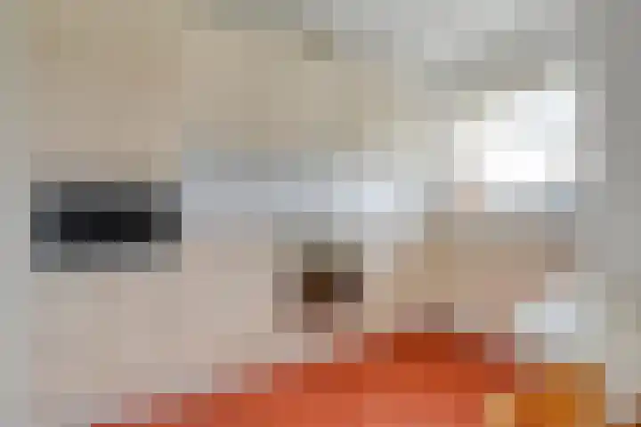 Molenerf 2 Ommen thumbnail 33