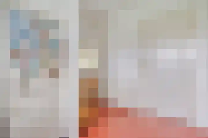 Molenerf 2 Ommen thumbnail 36