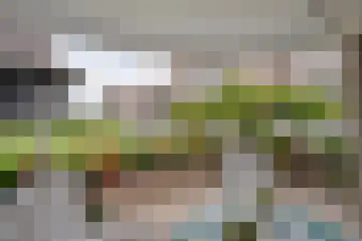 Molenerf 2 Ommen thumbnail 39