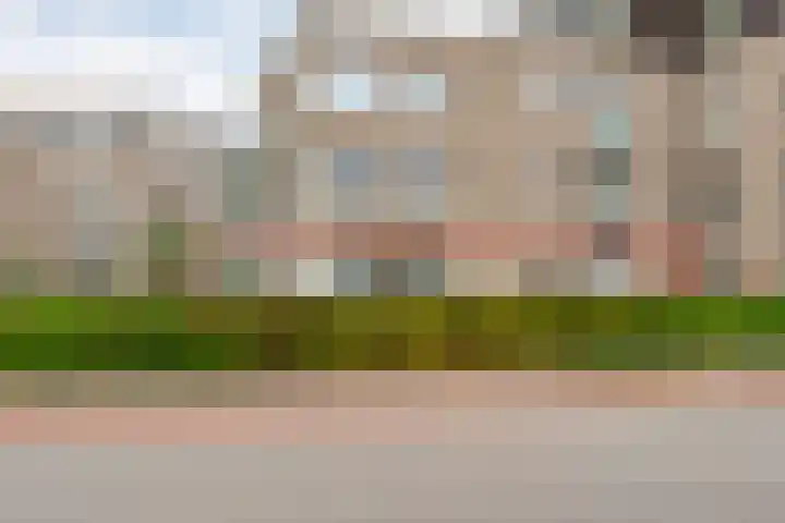 Molenerf 2 Ommen thumbnail 4