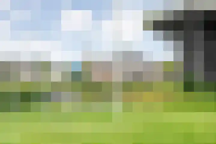 Molenerf 2 Ommen thumbnail 40