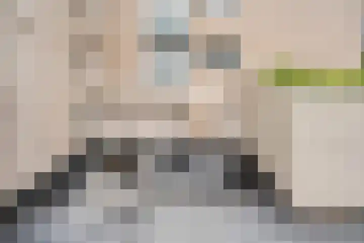 Molenerf 2 Ommen thumbnail 41