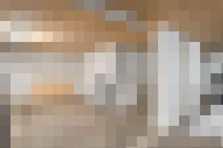 Molenerf 2 Ommen thumbnail 42