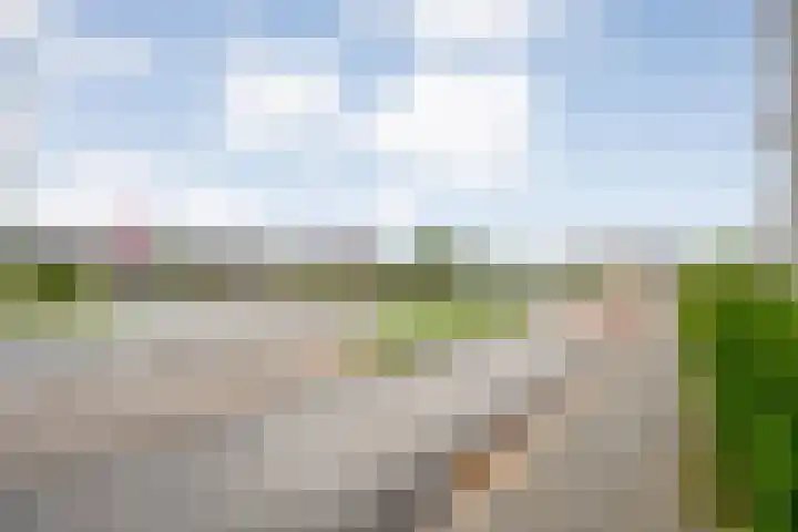 Molenerf 2 Ommen thumbnail 44