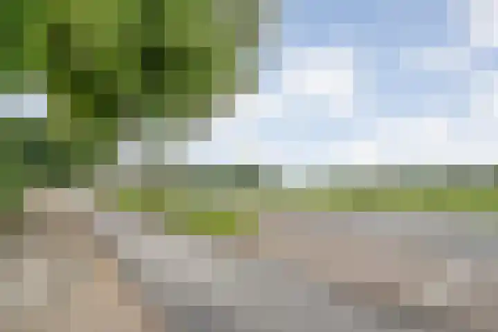 Molenerf 2 Ommen thumbnail 45