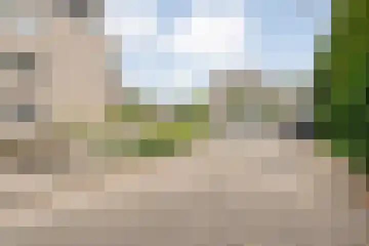 Molenerf 2 Ommen thumbnail 8