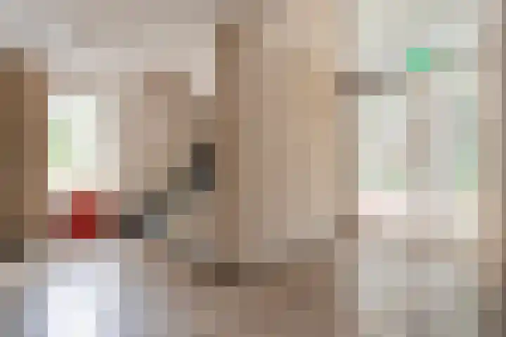 Molenerf 2 Ommen thumbnail 9