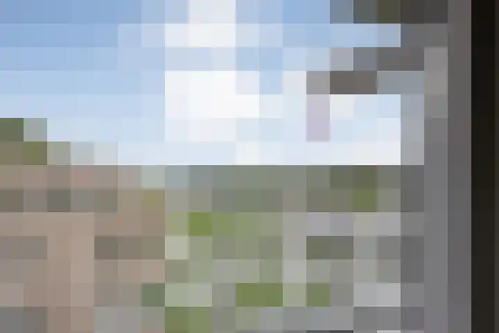 Molenerf 43 Ommen thumbnail 11
